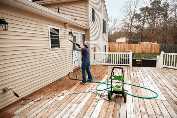 Best Local Pressure Washing Services  in Centreville, MI