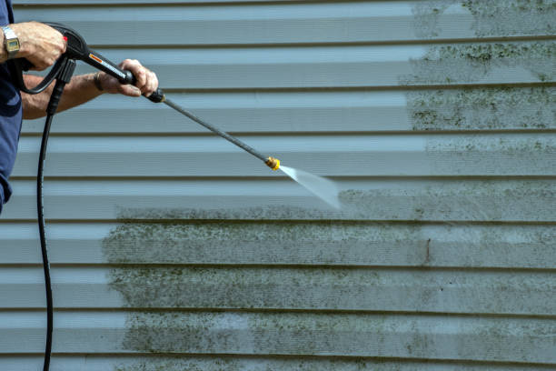 Best Best Pressure Washing Companies  in Centreville, MI