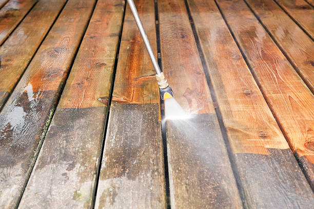 Best House Pressure Washing  in Centreville, MI