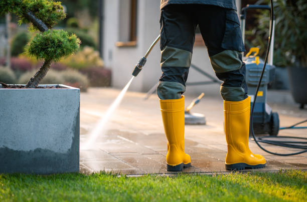 Best Fence Pressure Washing  in Centreville, MI